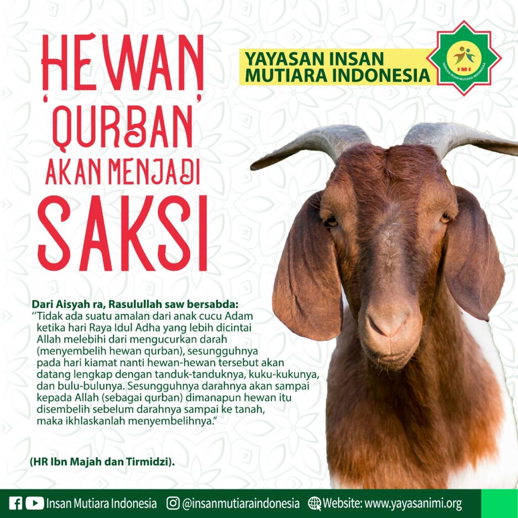 Berbagi Peduli Dengan Berqurban Di Yimi
